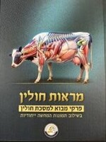 מראות חולין-המחשות למסכת חולין מבית קול הלשון