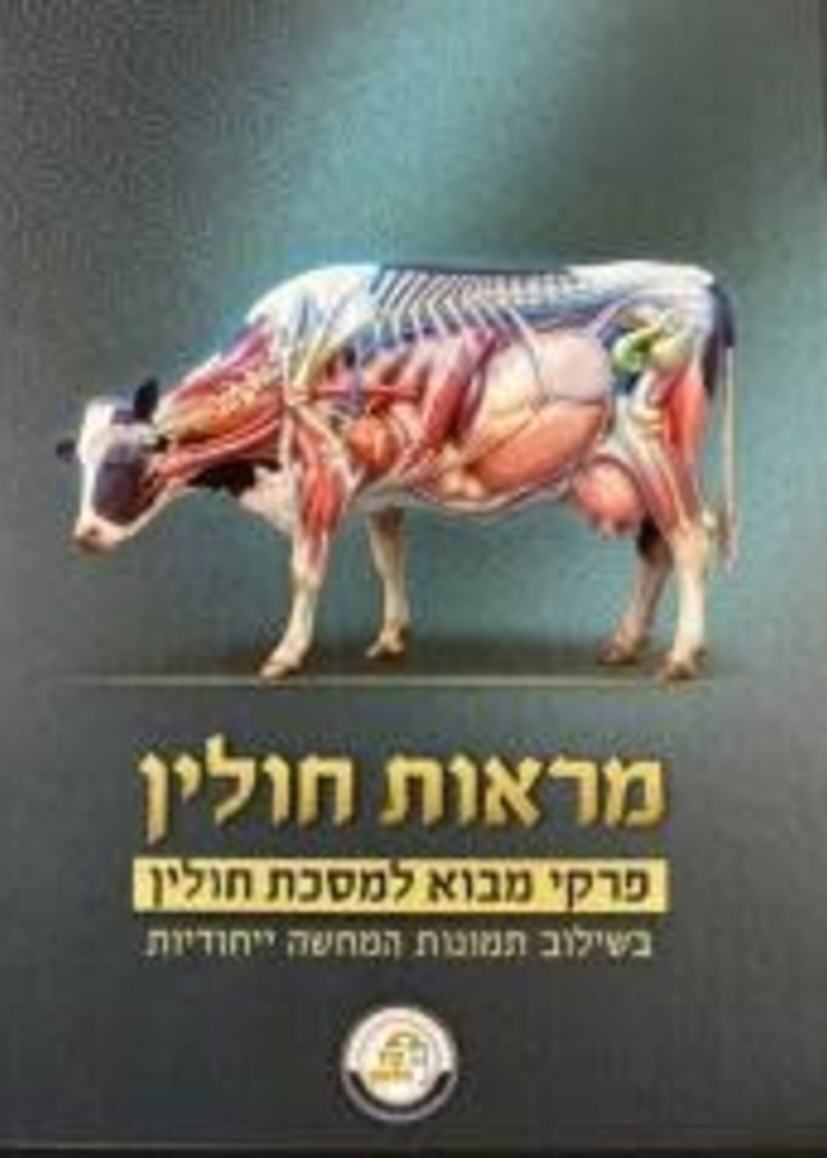 מראות חולין-המחשות למסכת חולין מבית קול הלשון
