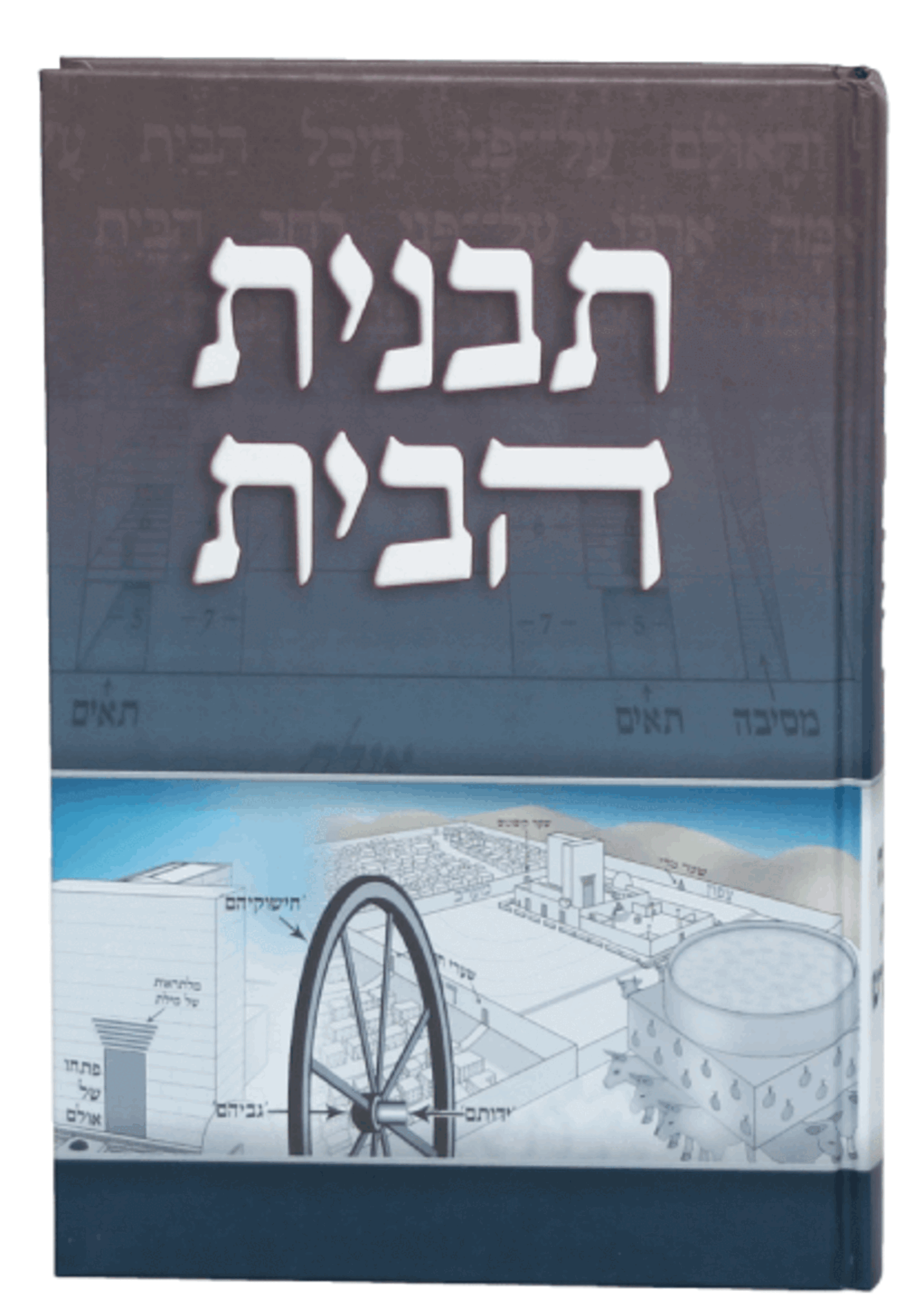 Tavnit HaBayit / תבנית הבית