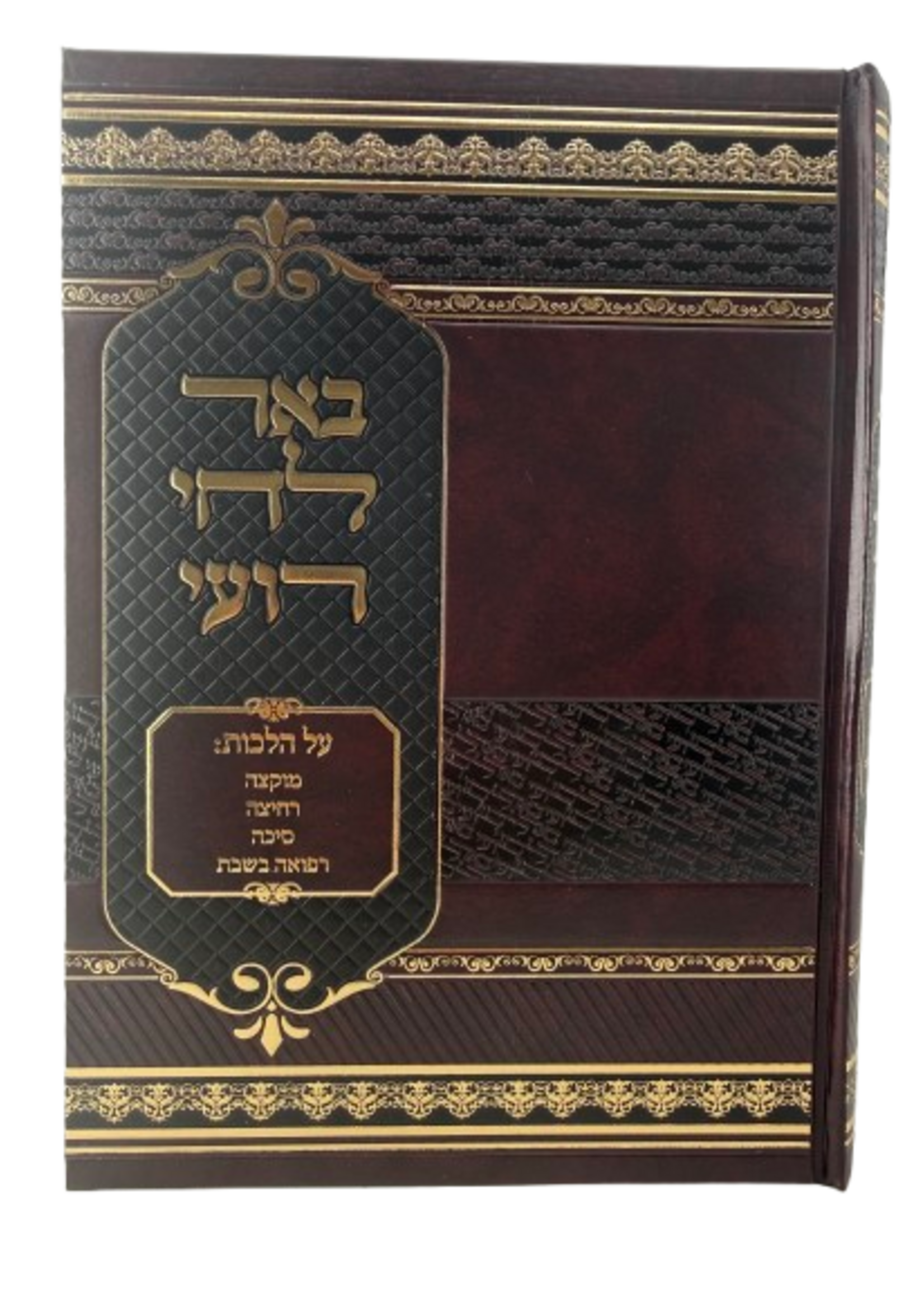 Be'er Lechai Ro'i / באר לחי רועי