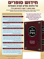Chidushei Sofrim - Stam / חידוש סופרים על הלכות סת''ם וצורת האותיות הרב זילבערמן
