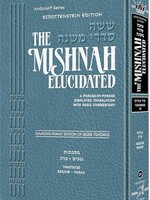 Schottenstein Edition of the Mishnah Elucidated [#20] – Tohoros Volume 4