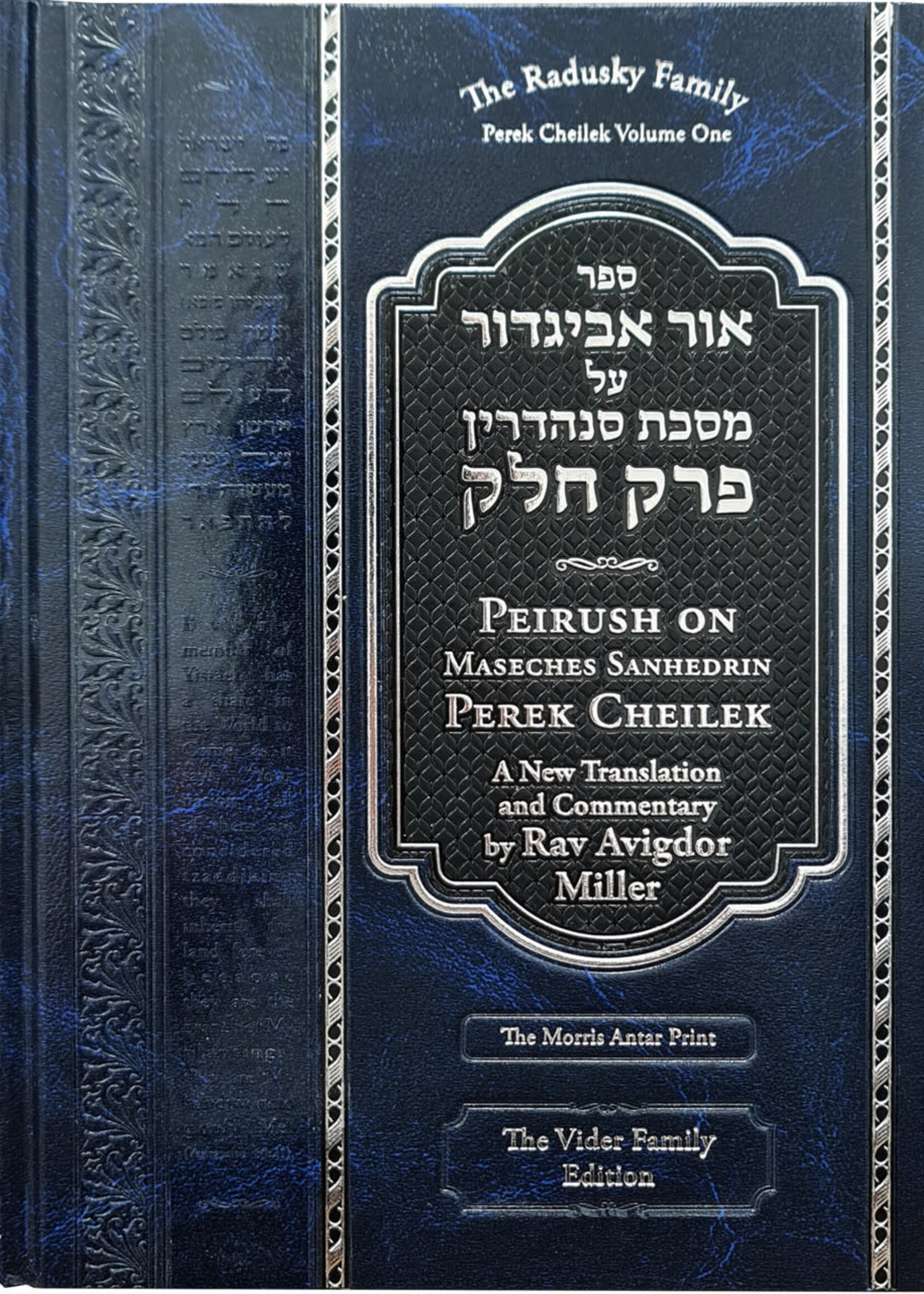 Rabbi Avigdor Miller Ohr Avigdor Perek Cheilek Volume 1