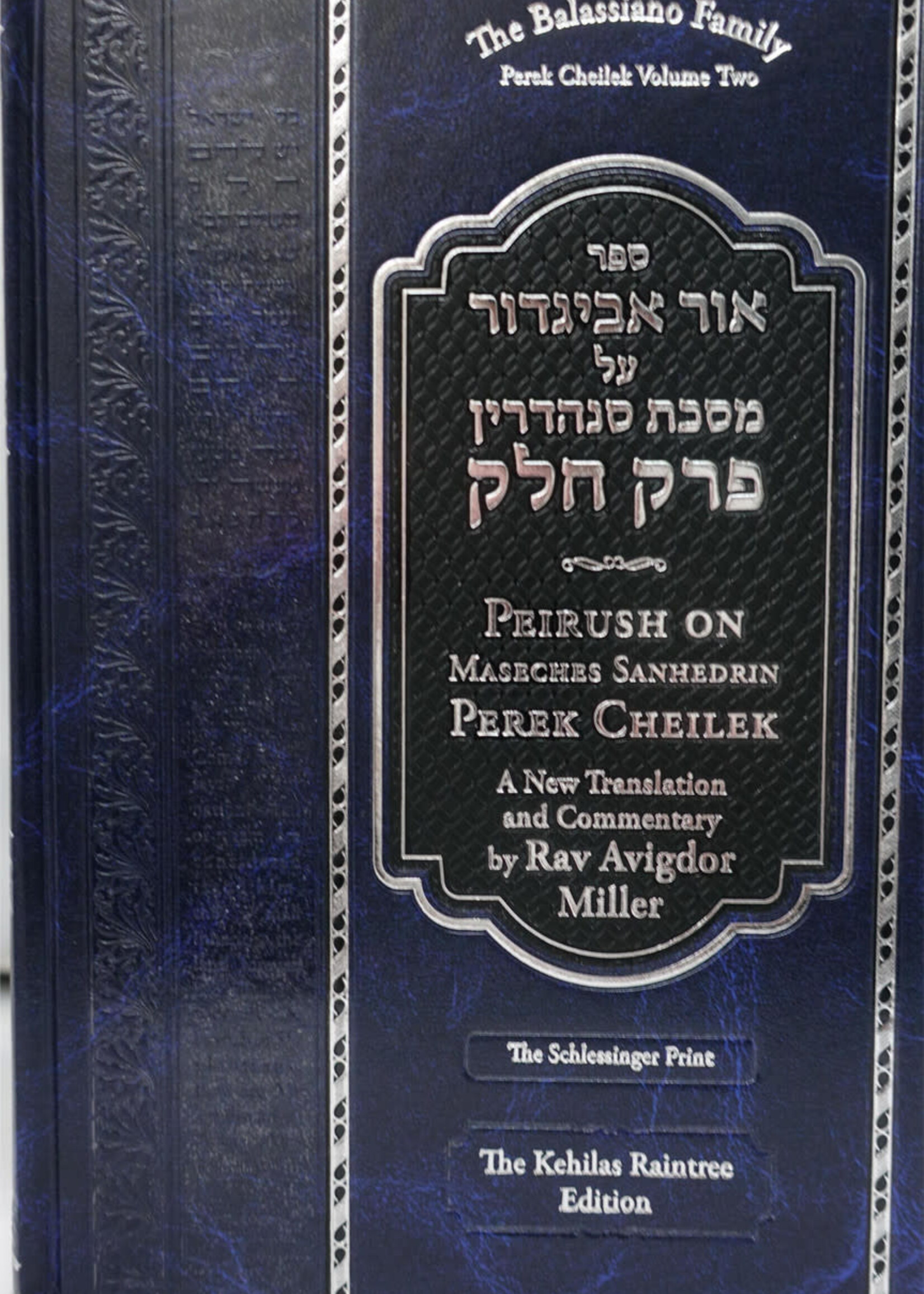 Rabbi Avigdor Miller Ohr Avigdor Perek Cheilek Volume 2
