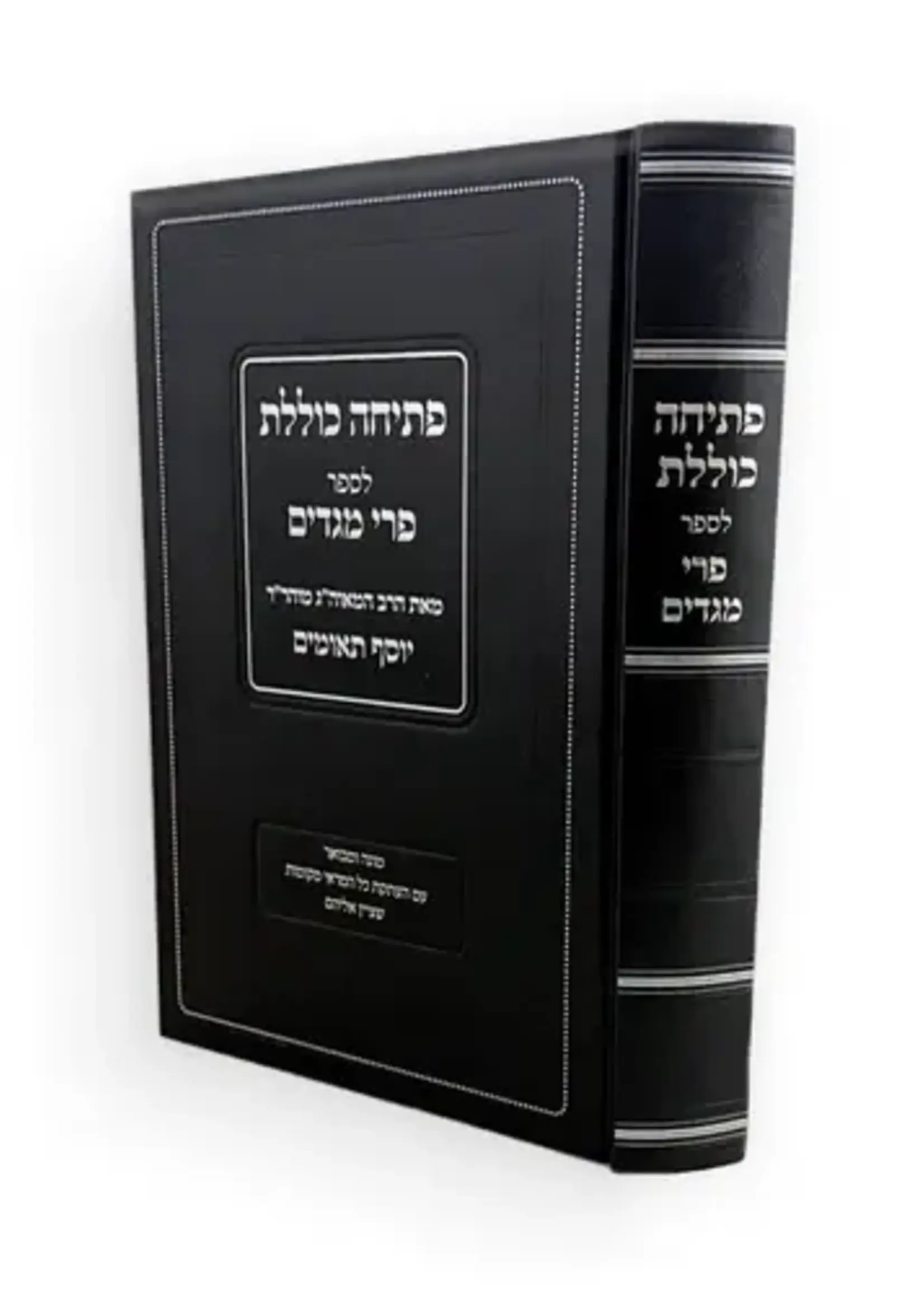 Petichah Kolelet Pri Megadim / פתיחה כוללת פרי מגדים