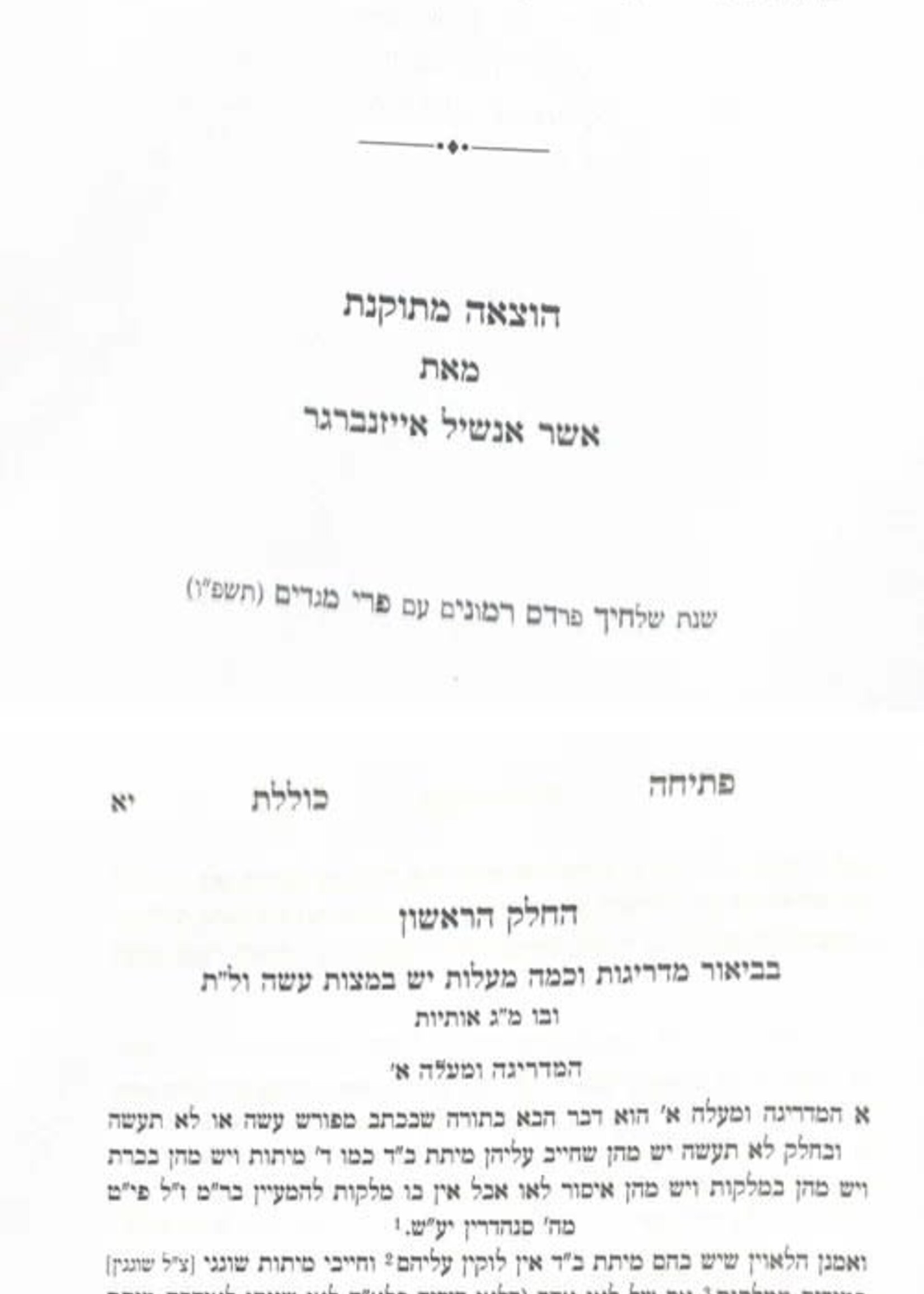 Petichah Kolelet Pri Megadim / פתיחה כוללת פרי מגדים