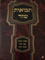 Tevuat Shor / תבואת שור- שמלה חדשה , בכור שור לבושי שרר