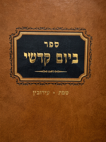 Beyom Kodshi Shabbat & Eruvin / ביום קדשי שבת ערובין