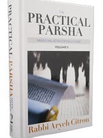 Practical Parsha #2