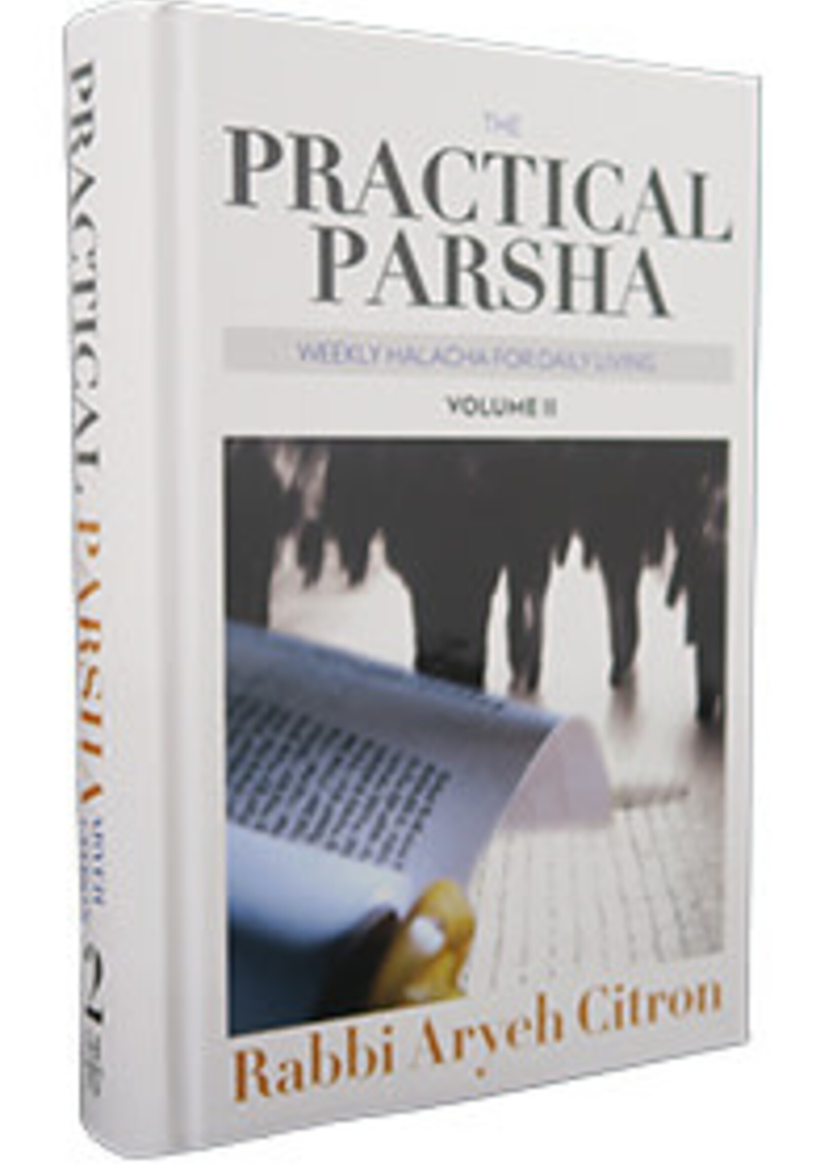 Practical Parsha #2