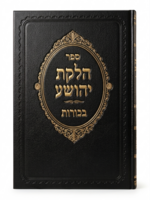 Sefer Chelkat Yehoshua Bechorot / ספר חלקת יהושע בכורות