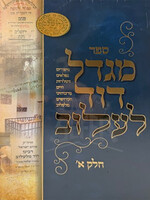 Migdal Dovid - Lelov 2 Volume Set/  מגדל דוד לעלוב ב"כ