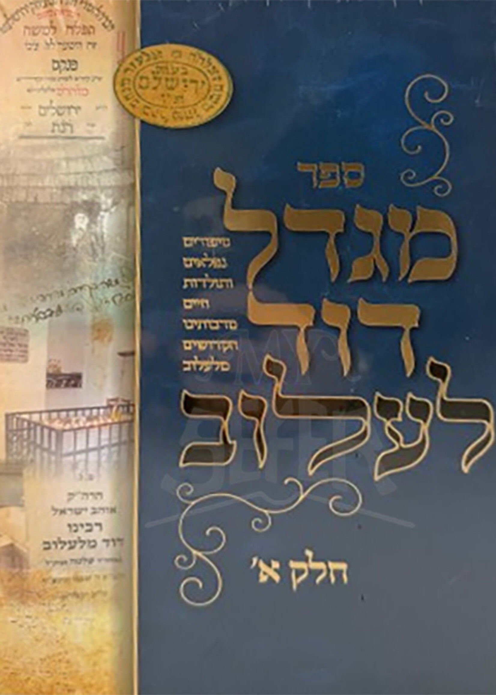 Migdal Dovid - Lelov 2 Volume Set/  מגדל דוד לעלוב ב"כ