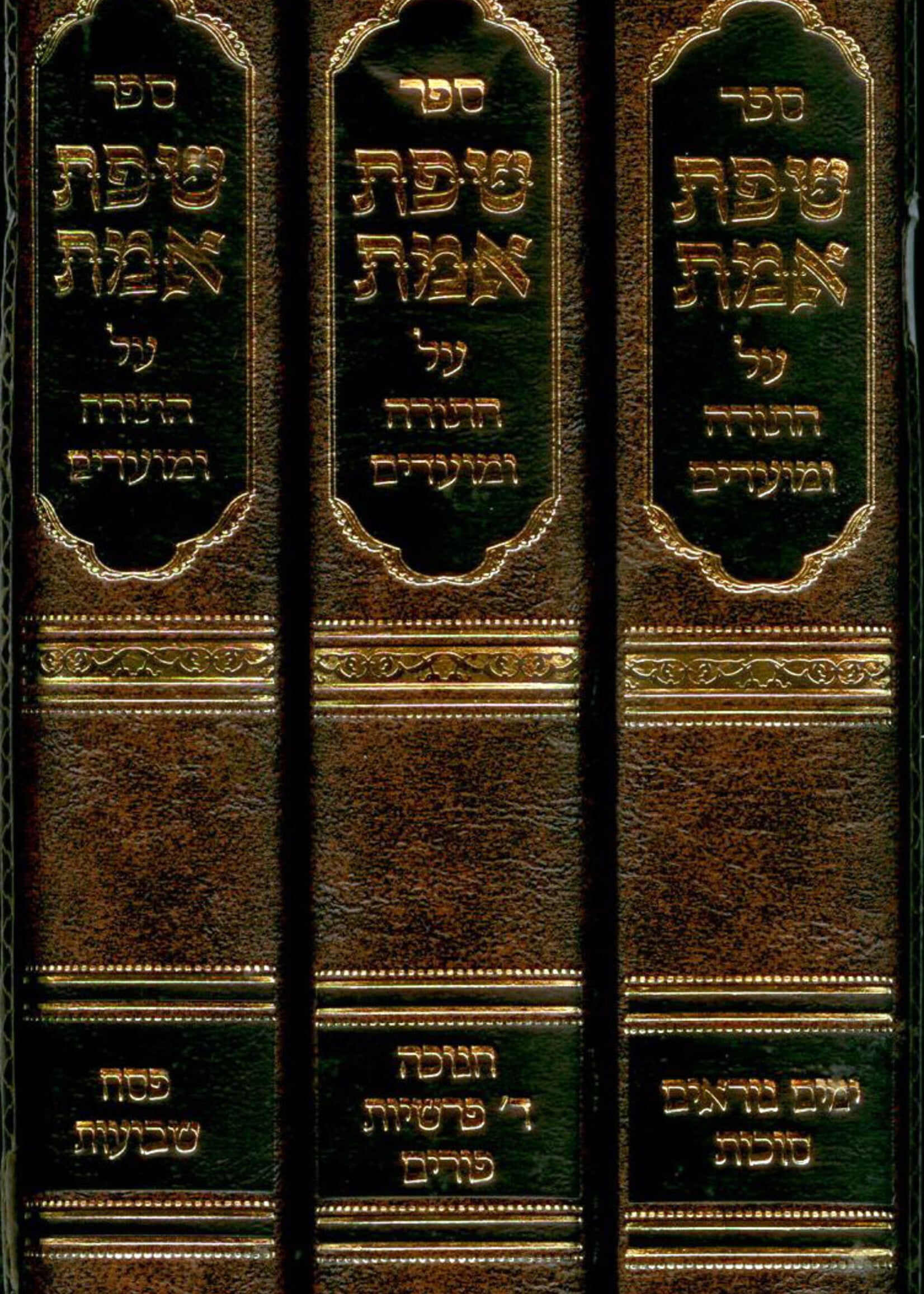 Sefat Emet al HaMoadim (3 vol.)
