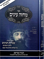 Sefer Machzeh Einayim HaMagid M'Brisk / ספר מחזה עינים המגיד מבריסק