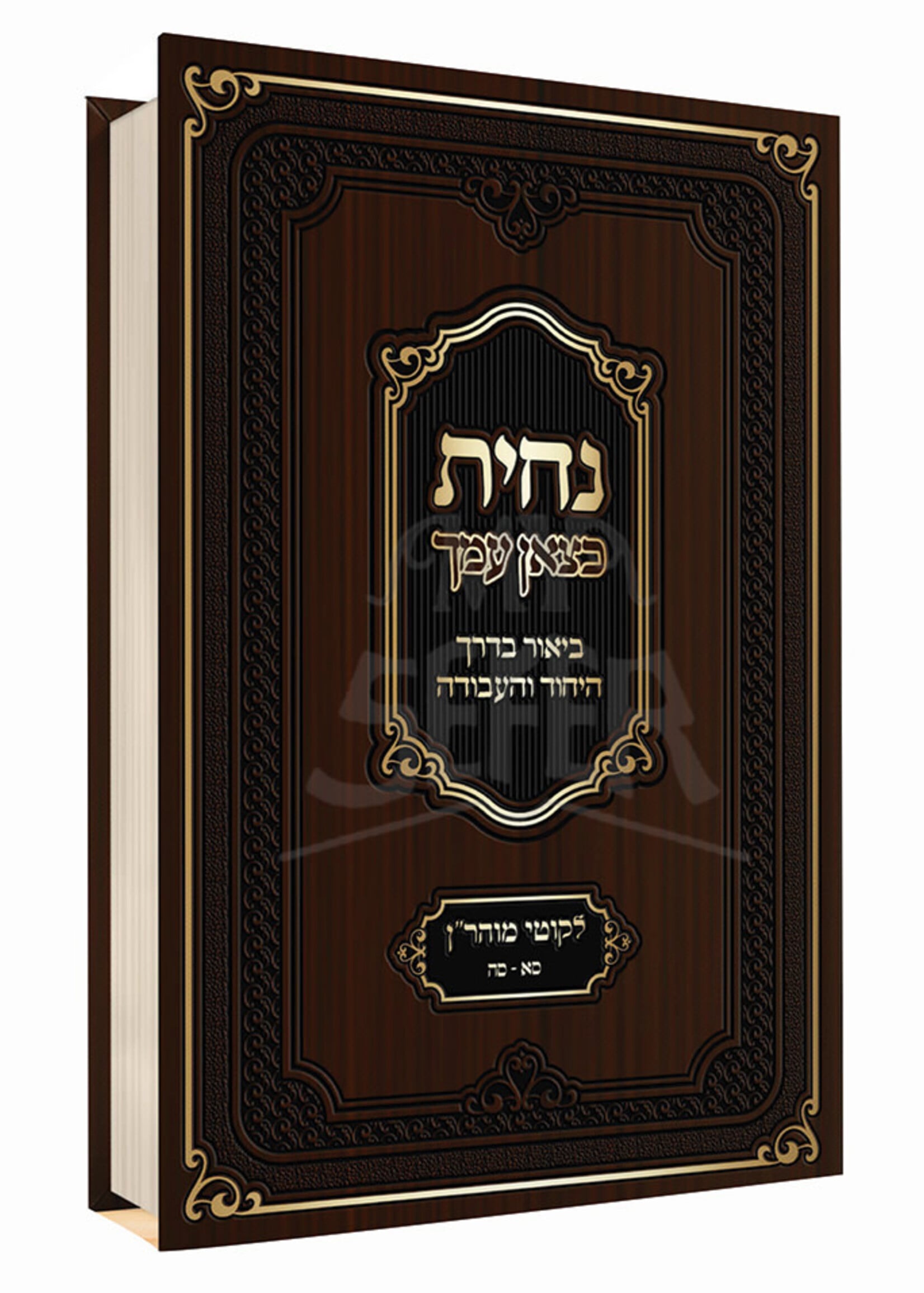 Sefer Nachisa Chatzon Amecha Volume 1 / נחית כצאן עמך -ביאור בדרך היחוד והעבודה -ליקוטי מוהר''ן -ס''א -ס''ה