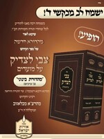 Tzvi Latzadik Al Moadim ( Bluzhive) 2 Volume Set 5*7 / צבי לצדיק על מועדים