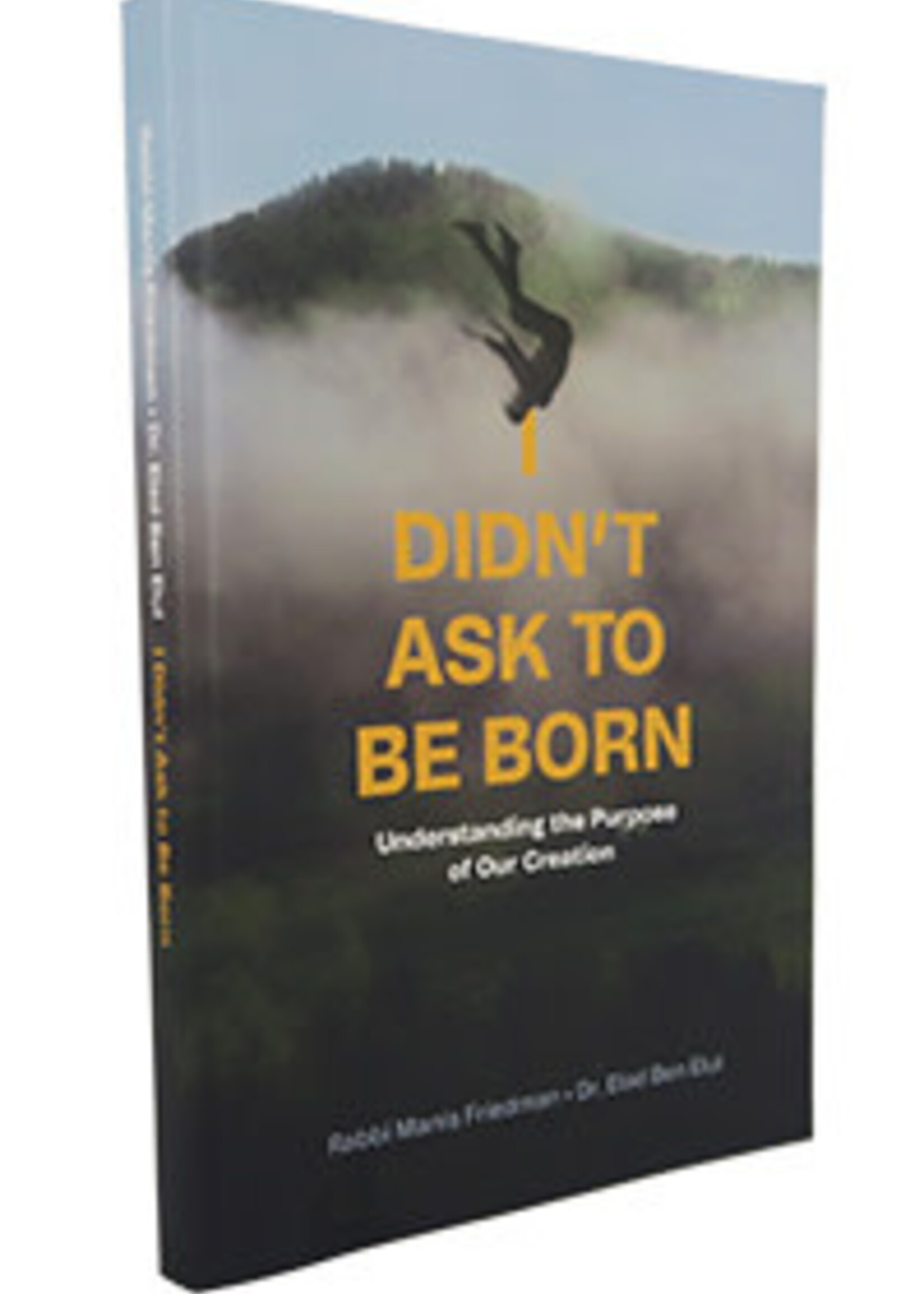 I Didn't Ask to Be Born (Rabbi Manis Friedman & Dr. Elad Ben Elul) (Paperback)