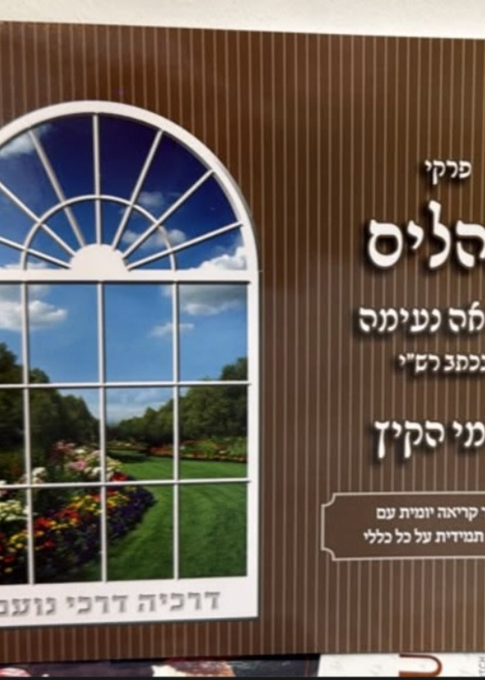 Meir Zev Blau Kriah Neima - Pirkei Tehillim B'Ktav Rashi L'Yemei haKayitz (Brown - Volume 8) / פרקי תהלים קריאה נעימה בכתב רש"י לימי הקיץ