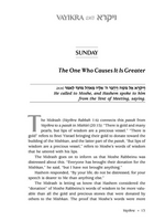 Rabbi Nachman Seltzer Zera Shimshon Yomi: The Sefer. The Stories. The Segulah.- Vayikra, Bamidbar, Devarim