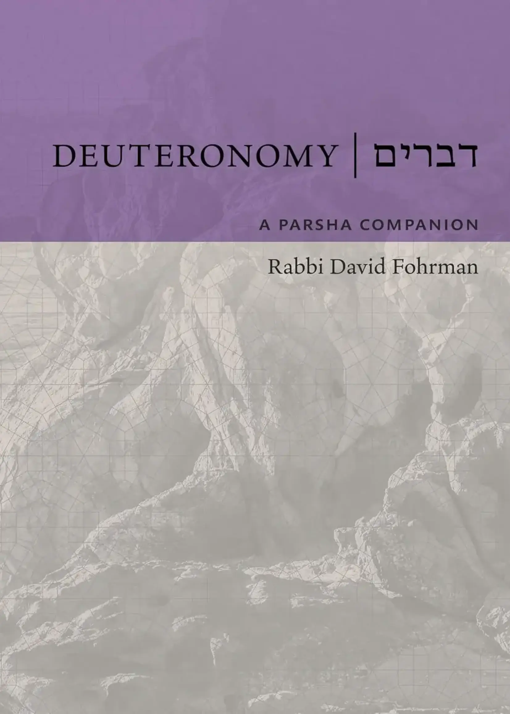 Rabbi David Fohrman Deuteronomy: A Parsha Companion by Rabbi David Fohrman