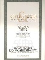 Reflections & Introspection - Building From The Ruins / The Three Weeks