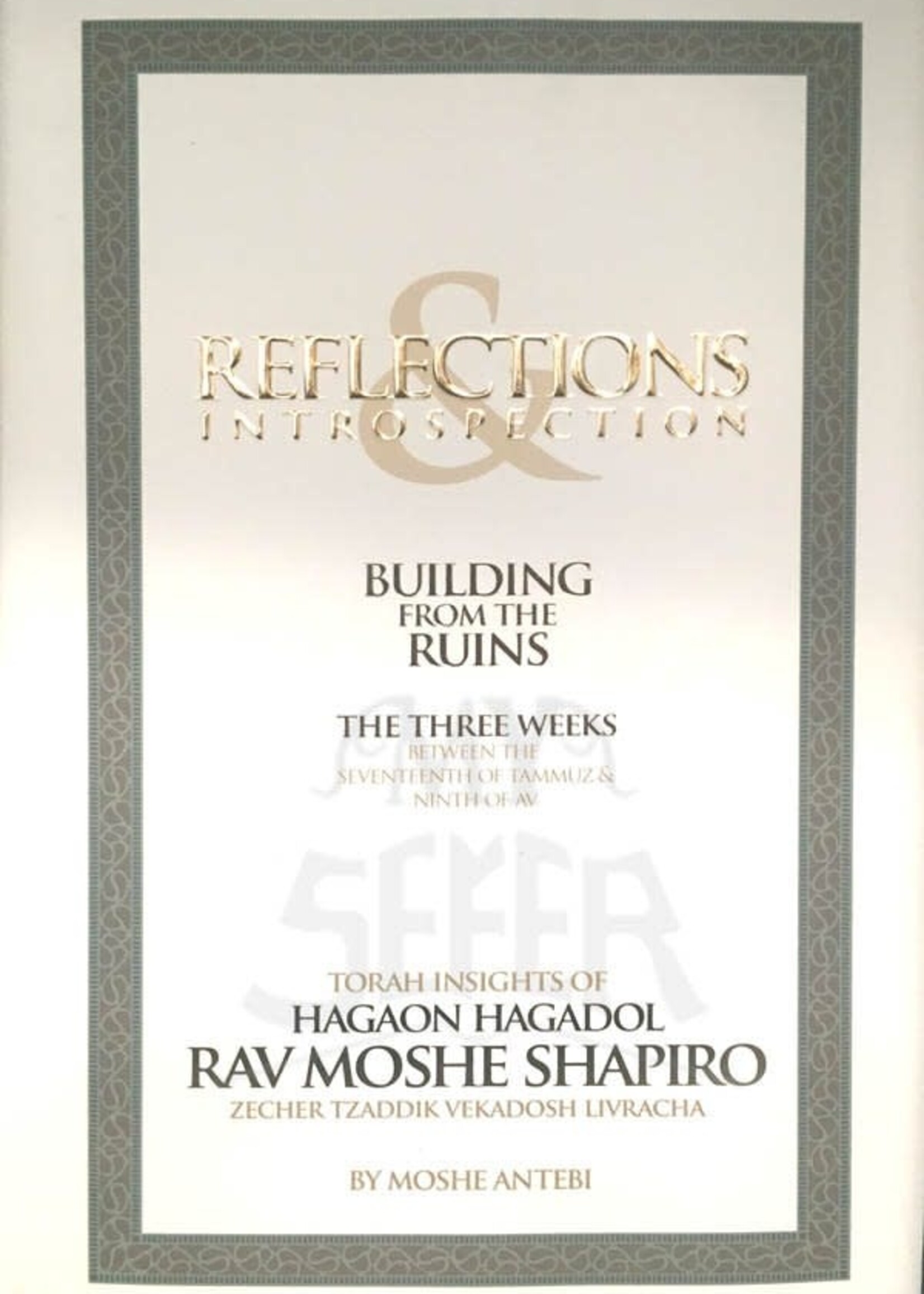 Reflections & Introspection - Building From The Ruins / The Three Weeks