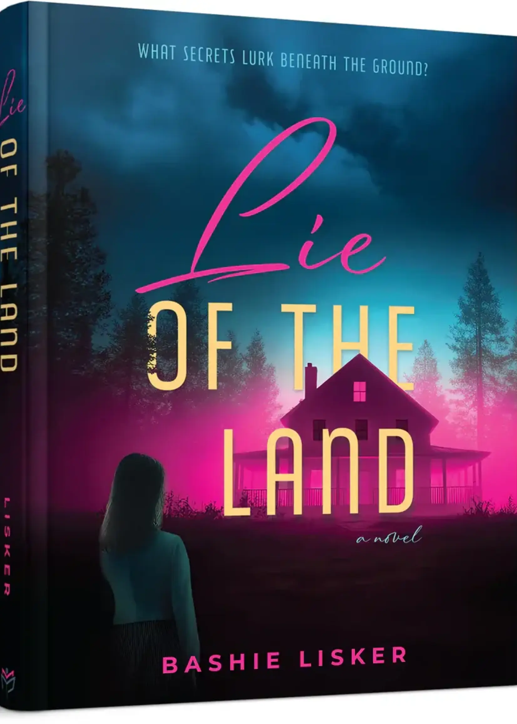Bashie Lisker Lie of the Land