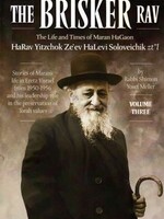 Rabbi Shimon Yosef Meller The Brisker Rav, Volume 3