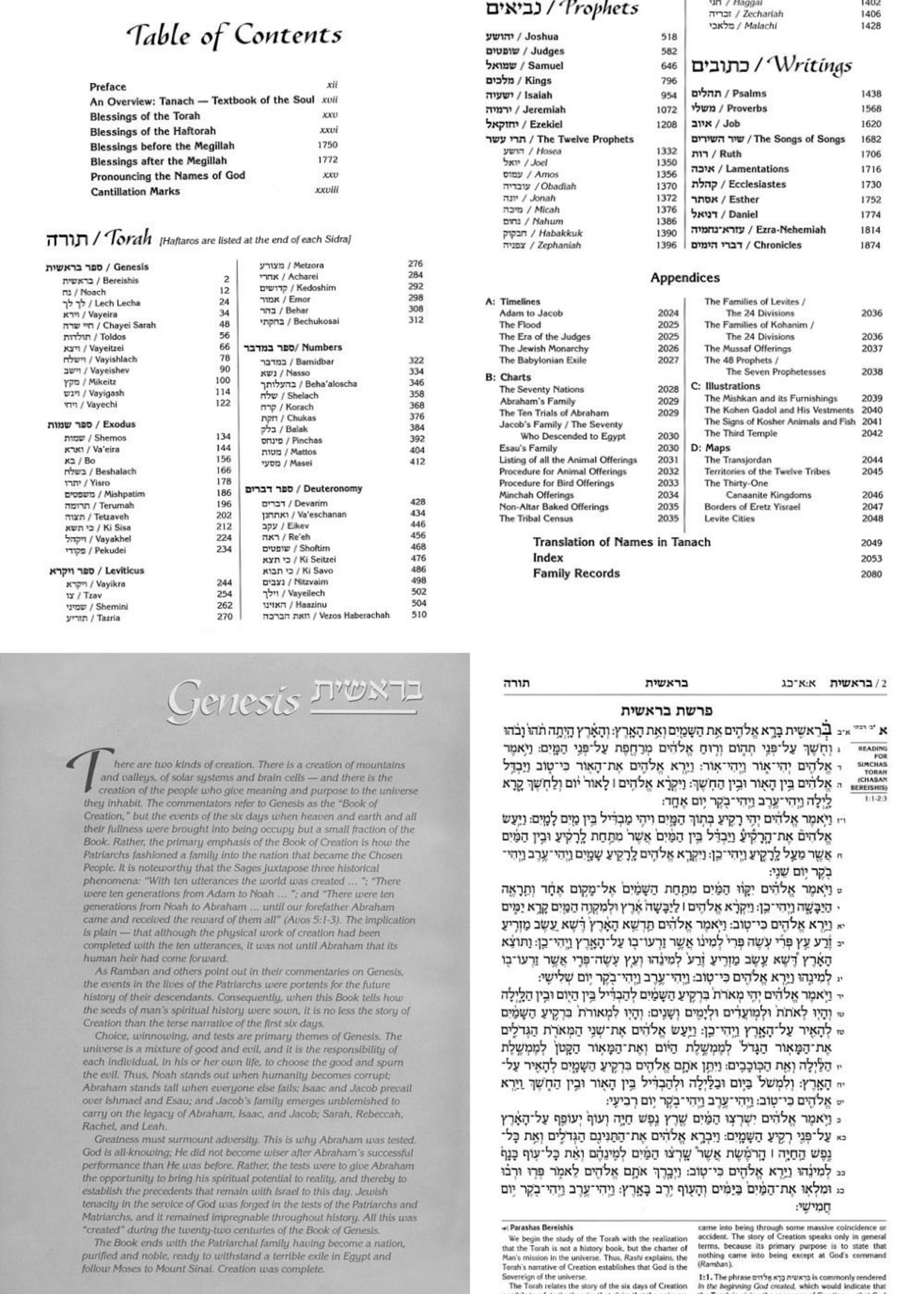 Rabbi Nosson Scherman Stone Edition Tanach - Full Size (7" x 10") - Green (Full Size Green): The Torah / Prophets / Writings the 24 Books of the Bible Newly Translated and Annotated.