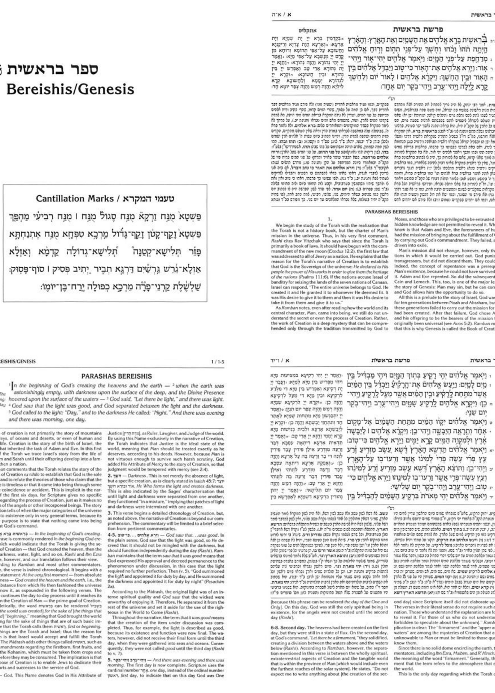 Rabbi Nosson Scherman The Stone Edition Chumash - Full Size (Hardcover)