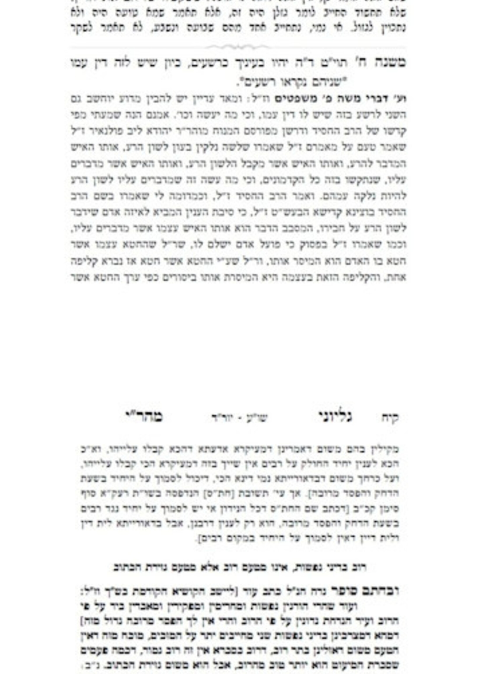 Mishnat Yehudah Dzikov / משנת יהודה -דזיקוב