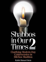 Shabbos in Our Times 2