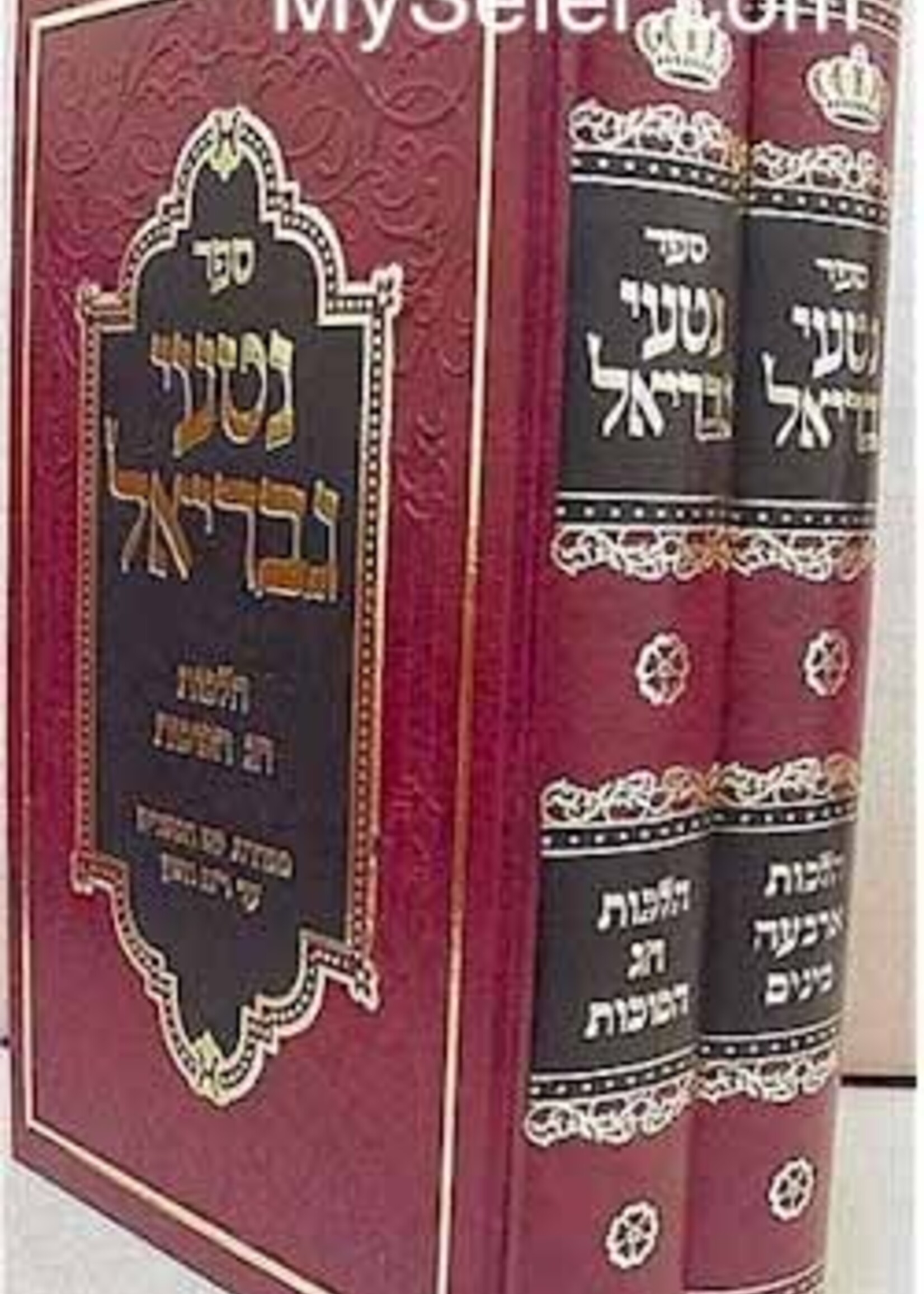 Nitei Gavriel - Halachot Sukkot (2 vol.) / נטעי גבריאל סוכות ד' מינים ב"כ