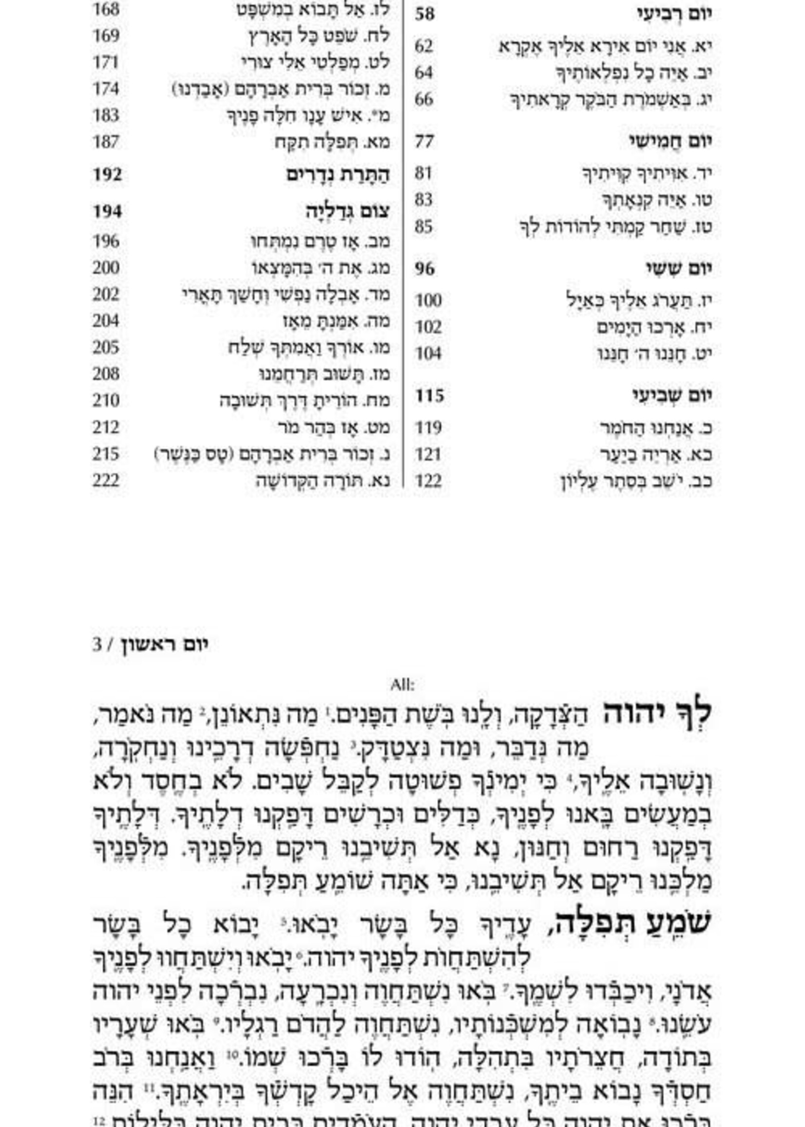 Selichos Zichron Reuven: All-Hebrew Nusach Polin Sefard with English Instructions - Pocket Size / סליחות זכרון ראובן מנהג פולין
