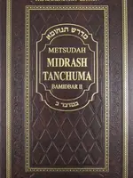 Rabbi Avraham Davis Metsudah Midrash Tanchuma Vol. 7 - Bamidbar II