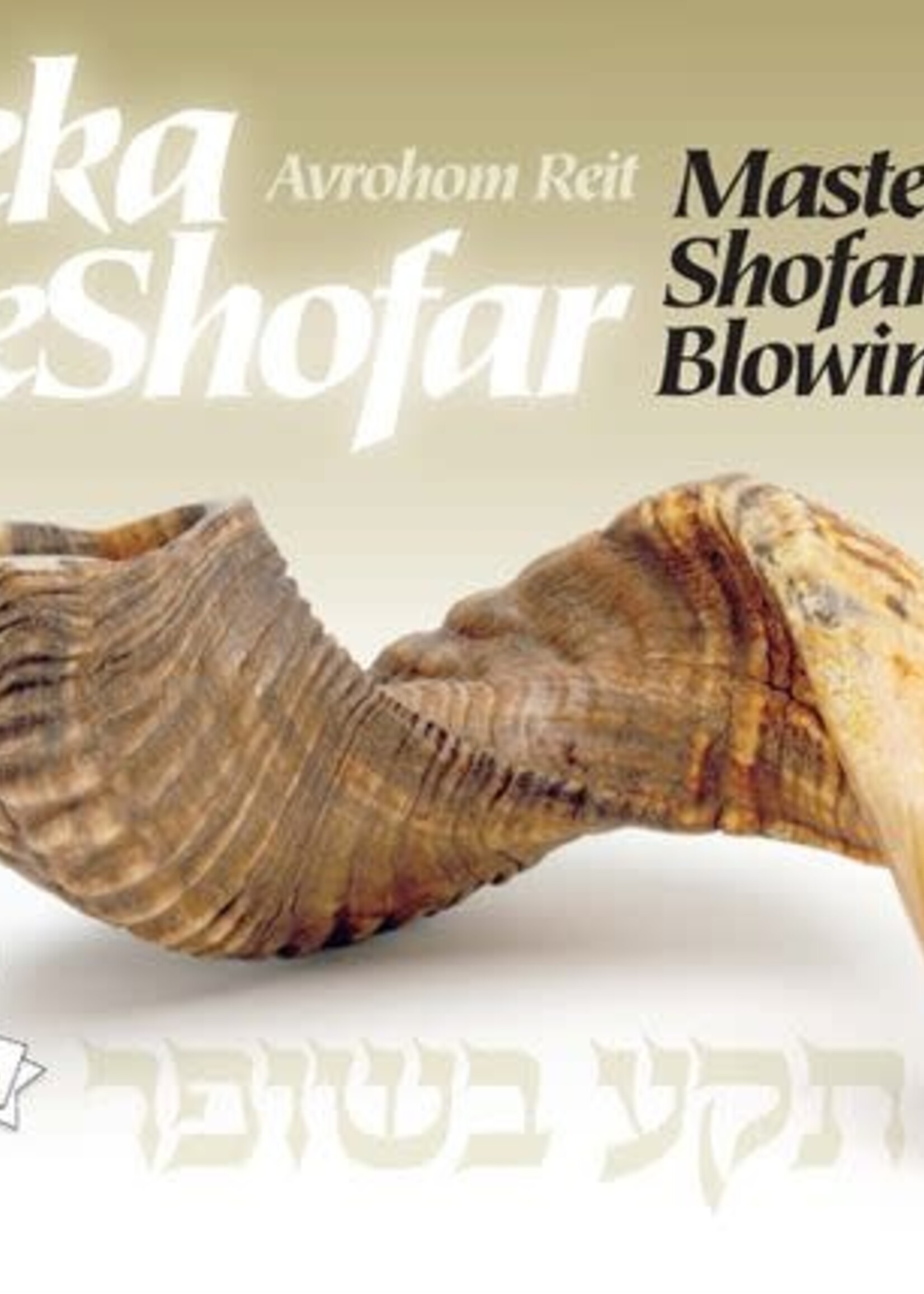 Avrohom Reit Teka BeShofar, Revised Edition