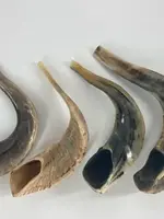 Badatz Shofar (Ram Horn) Extra - Large #5
