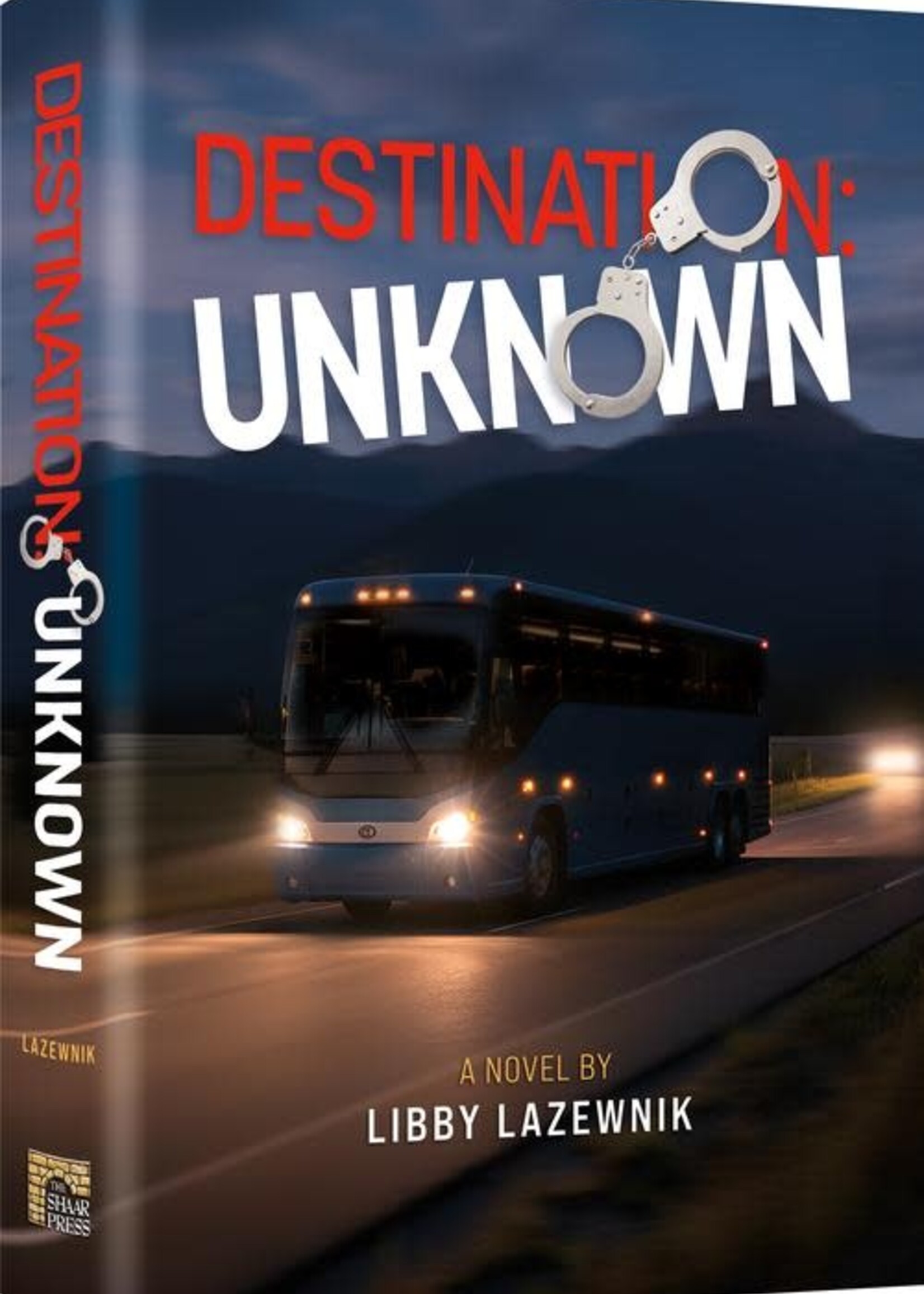 Libby Lazewnik Destination Unknown