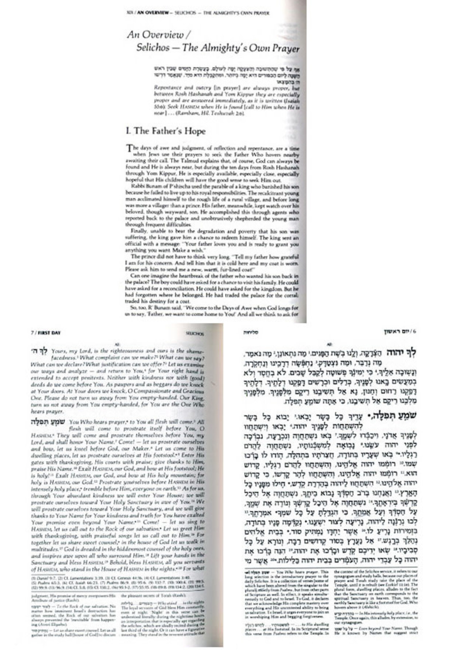 Rabbi Avie Gold Selichos: Full Size Nusach Lita Ashkenaz (Hardcover)