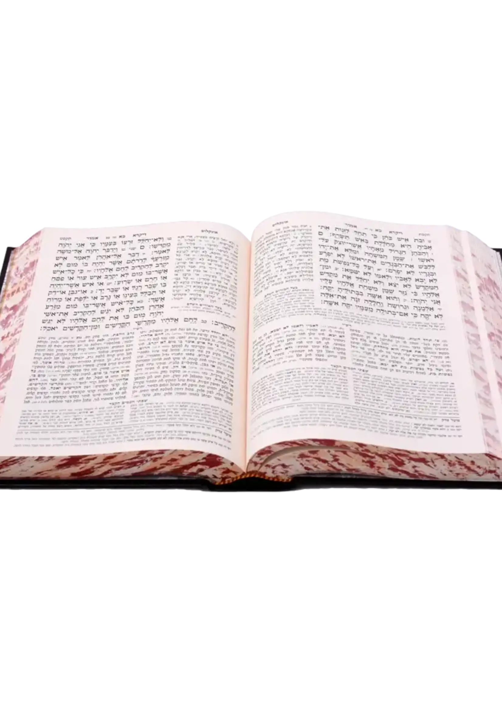Chamisha Chimshei Torah - Shul Edition [Haftoras Mevuar] / חמשה חמשי תורה עם הפטורת מבוארת