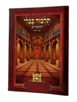 Talmud Bavli for Kids - Single Perakim Eilu Metzios / no pics (Not Menukad) / פרקים לתלמידים - אלו מציאות