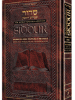 Rabbi Menachem Davis Siddur Interlinear Weekday Pocket Size Ashkenaz Paperback Schottenstein Edition (Pocket Paperback)