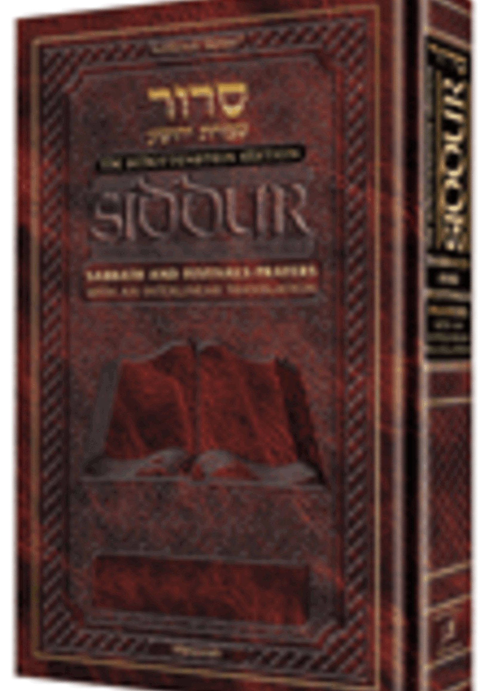 Rabbi Menachem Davis Siddur Interlinear Weekday Pocket Size Ashkenaz Paperback Schottenstein Edition (Pocket Paperback)