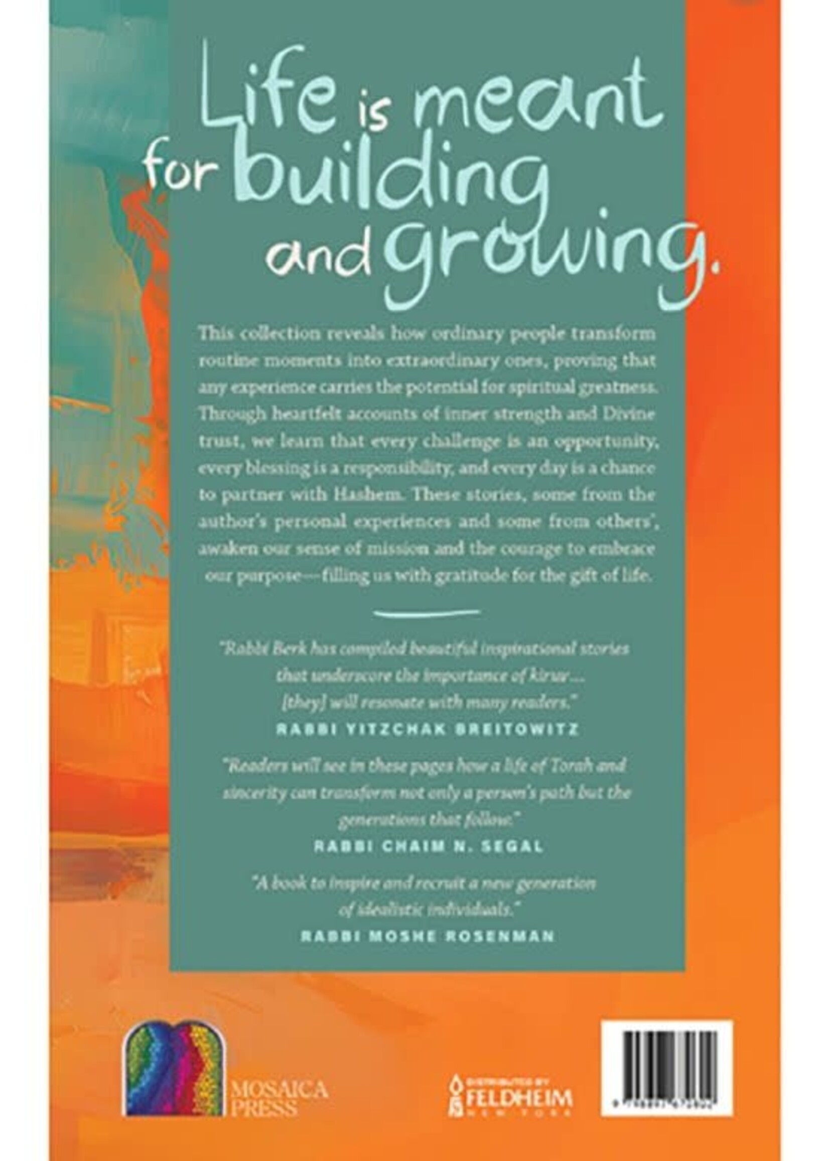 Rabbi David Berk Confessions of a Flipout: Compelling narratives on various topics that seek to elevate and inspire