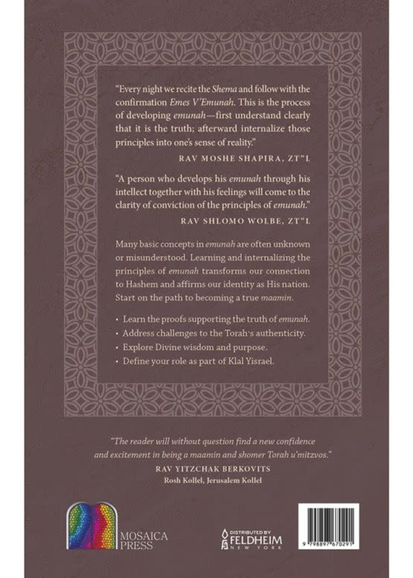 Rabbi Dovid Steinhauer Doresh Emunah: A Deeper Understanding of the 13 Principles of Emunah