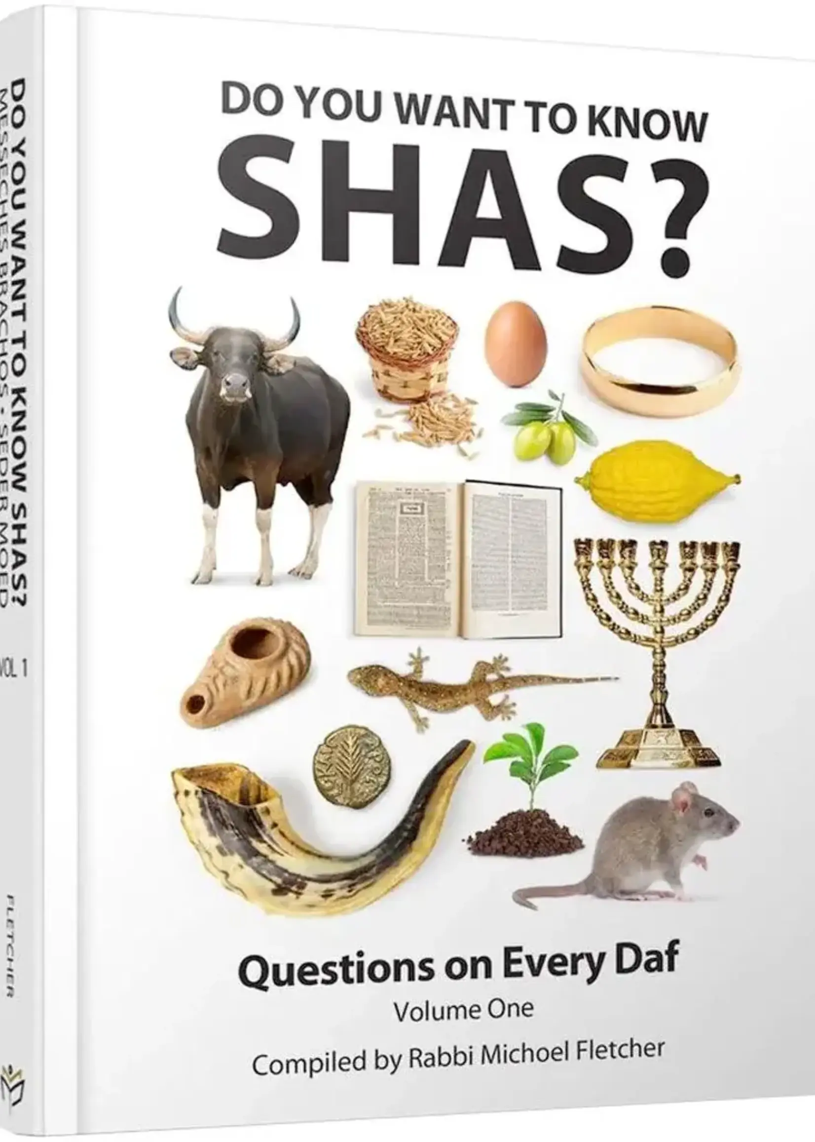 Rabbi Michoel Fletcher Do You Want to Know Shas?