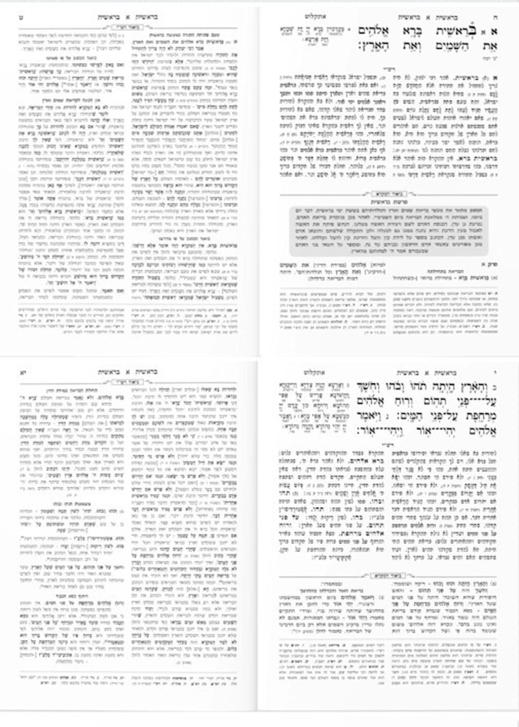 Set Chumashim Safa Berura Blue 5 Volumes / חומש שפה ברורה ה"כ - בלי תמונות