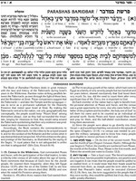 The Schottenstein Edition Interlinear Chumash Vol. 4: Bamidbar / Numbers - The Torah, Haftaros and Five Megillos with an Interlinear Translation and a commentary anthologized from the Rabbinic writings