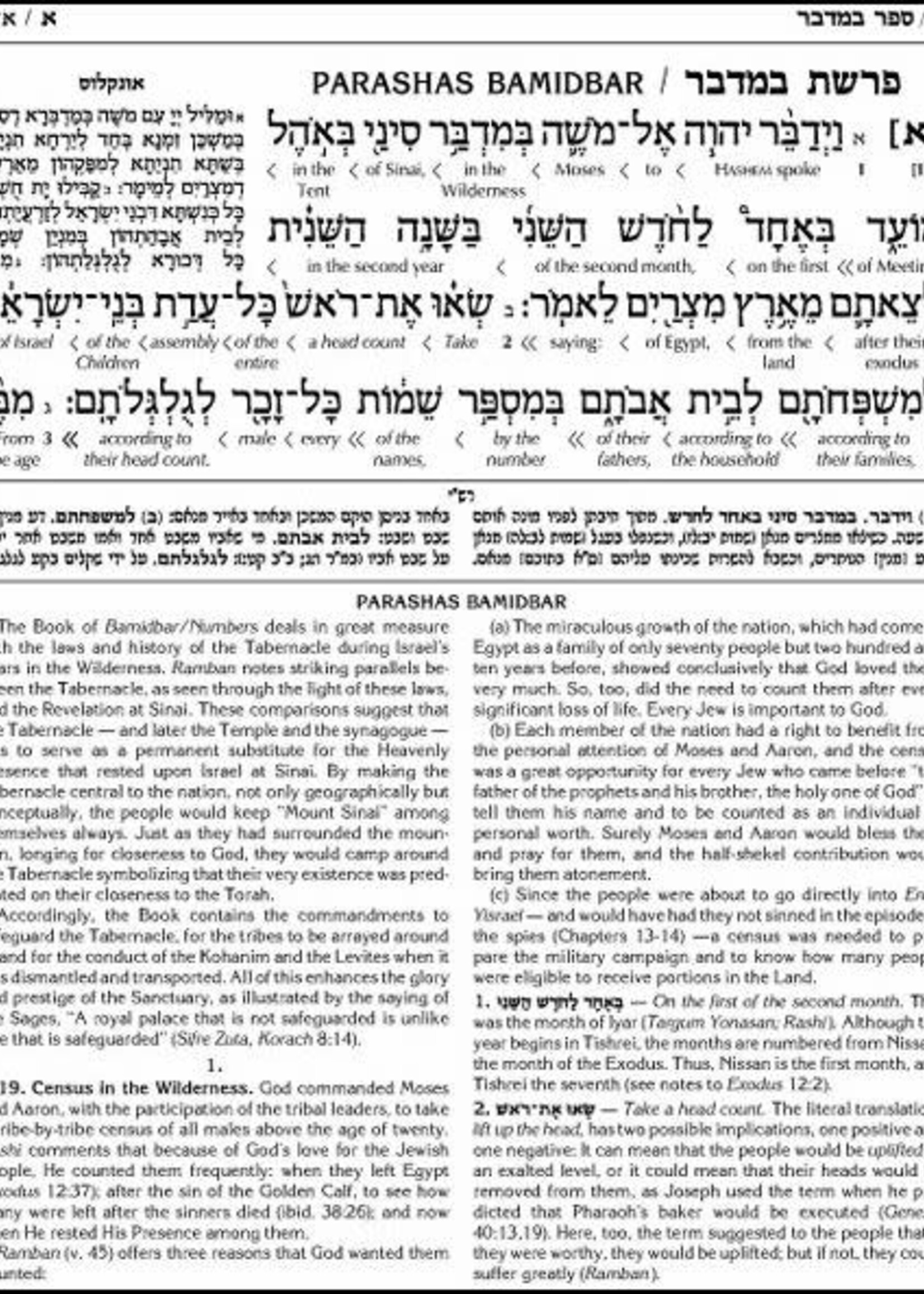 The Schottenstein Edition Interlinear Chumash Vol. 4: Bamidbar / Numbers - The Torah, Haftaros and Five Megillos with an Interlinear Translation and a commentary anthologized from the Rabbinic writings
